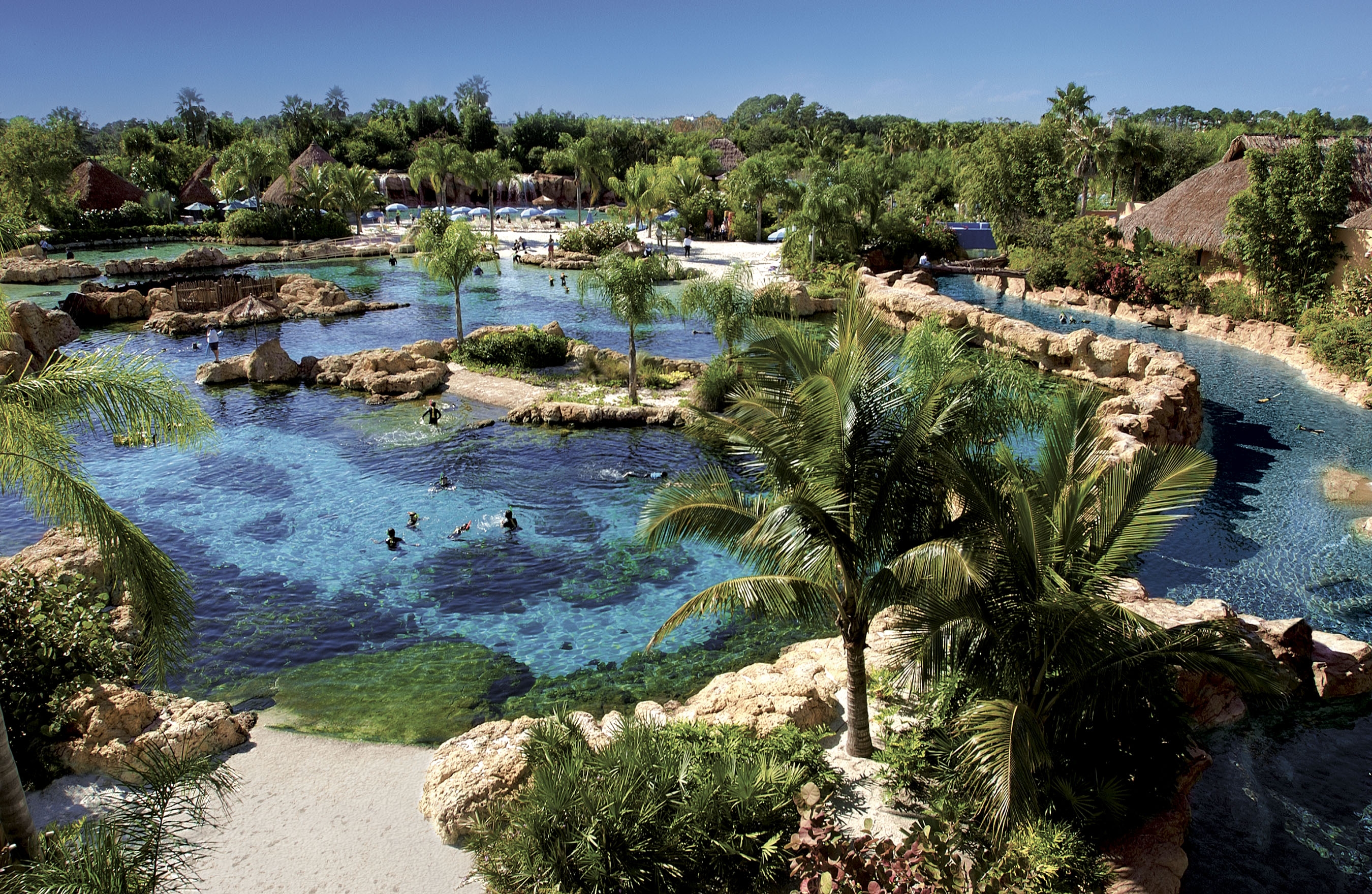 Discovery Cove Today's Orlando